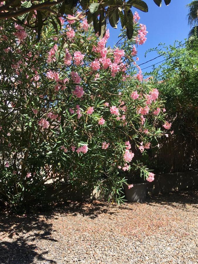 Dans Une Maison, Appartement Independant Et Jardin Perpignan Kültér fotó