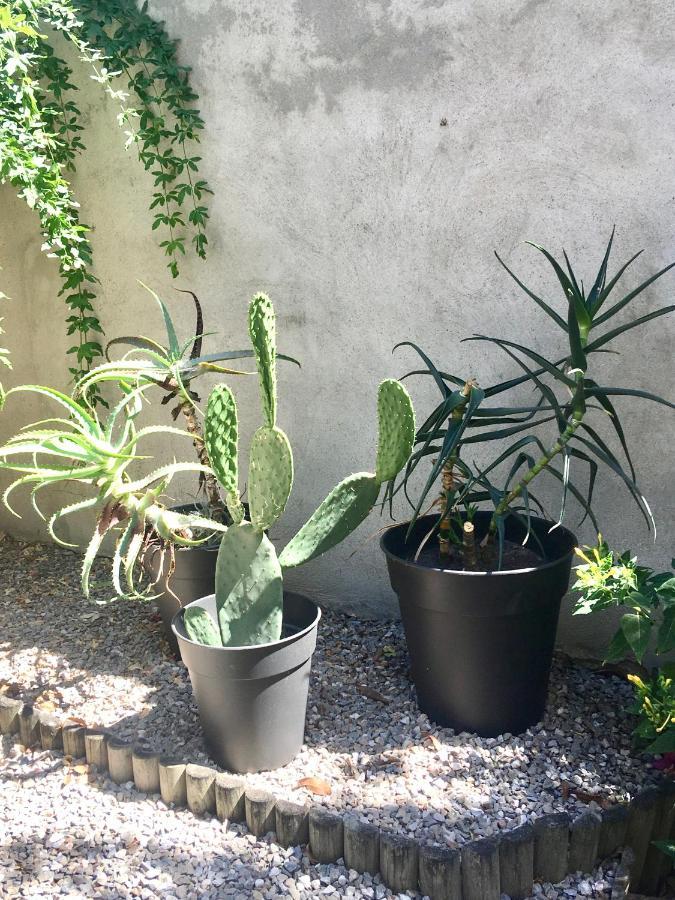 Dans Une Maison, Appartement Independant Et Jardin Perpignan Kültér fotó